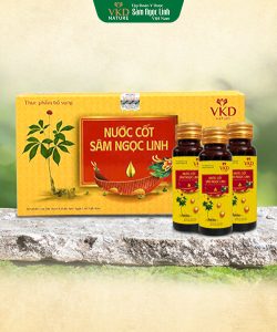 Nước Cốt Sâm Ngọc Linh
