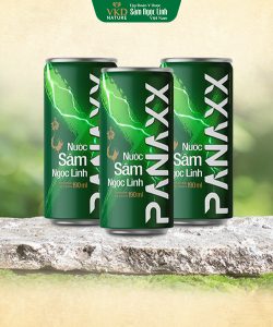 NƯỚC SÂM NGỌC LINH PANAXX