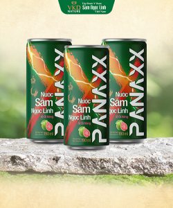 NƯỚC SÂM NGỌC LINH PANAXX – VỊ ỔI HỒNG